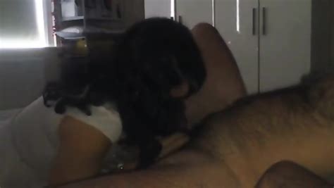 Amateur Cd Sucks Married Guy