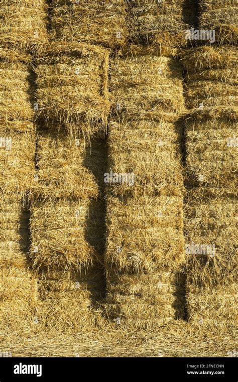 Big Bale Straw Stack Sweden Stock Photo Alamy