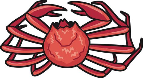 Download Crab Clipart Snow Crab Snow Crab Png Transparent Png