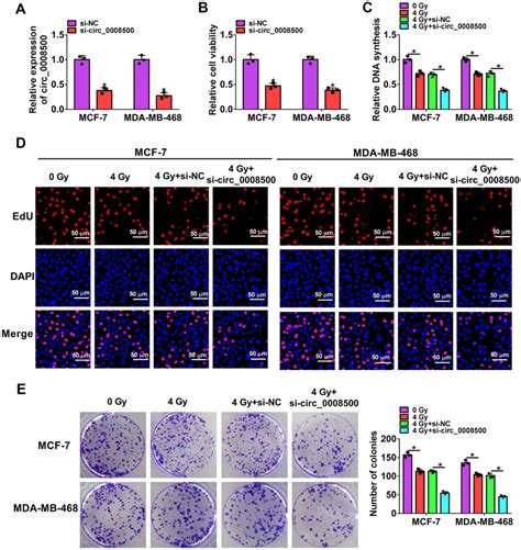 Circ 0008500 Knockdown Aggravated Radiation Caused Suppression Effect