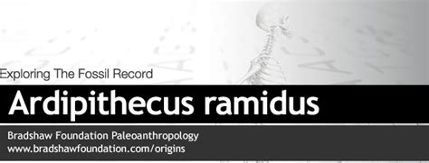 Ardipithecus ramidus