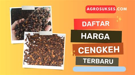 Daftar Harga Cengkeh Terbaru Di Pasar Lokal Agrosukses Youtube