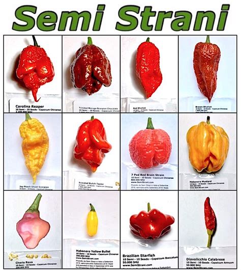 Buy 120 Pure In 12 Varieties Of The Best And Hottest Worlds Chili Peppers Super Hot Collection