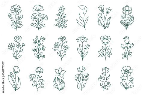 Floral line art set, linear botanical vector design elements. Flower drawings with thin line ...