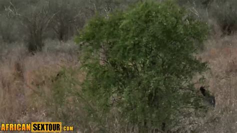 Wild Pussy Fucking With Horny African Teen With Perfect Big Ass Awahles