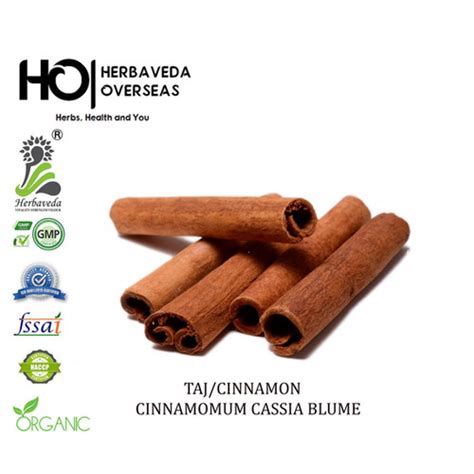 TAJ/CINNAMON-CINNAMOMUM CASSIA BLUME | HERBAVEDA OVERSEAS