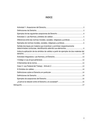 Actividad Integradora PDF