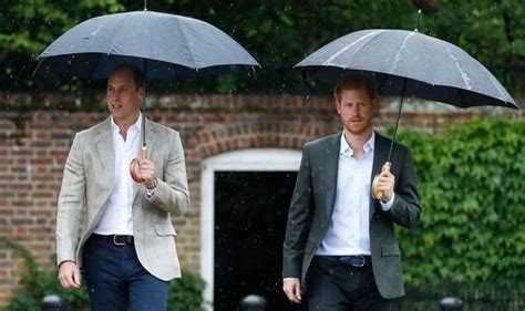 Prince Harry and William’s royal rift edged towards ‘constitutional