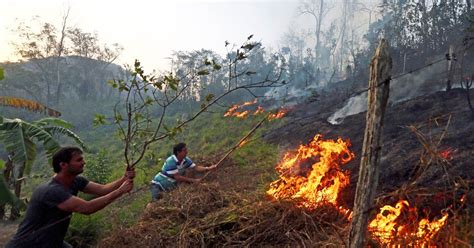 Natureza Brasil Teve Mais Queimadas Em Que No Ano Anterior