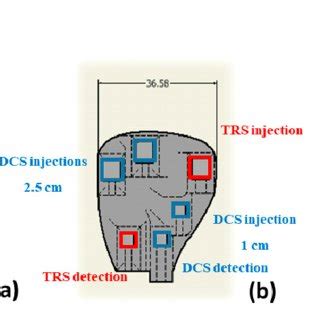 Panel (a) shows a photo (top view) of the probe developed for the in ... 
