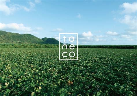 新感覚スイーツ！？『taneco』の新商品「taneco 凸凹安納芋の焼き干しいも」登場 - フードマニア Food Mania by 旭屋出版