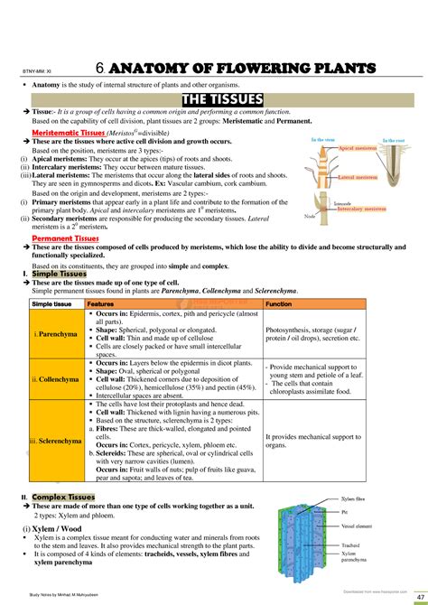 HSSRptr 1 Botany Anatomy Of Flowering Plant 474747 BTNY MM