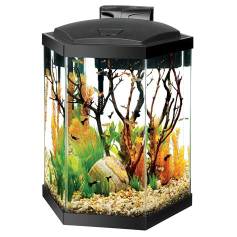 Hexagon Glass Aquariums Aqueon Hexagon Fish Tank Aquarium