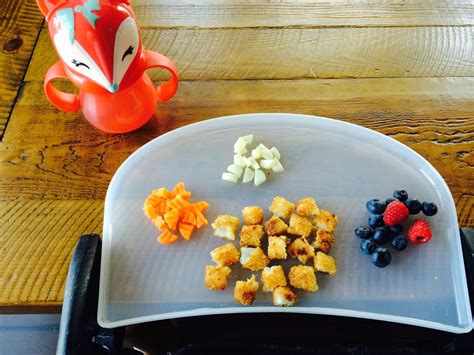 Baby Foods For 1 Year Old Recipe – Idalias Salon