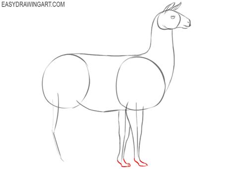 How To Draw A Llama Easy Drawing Art