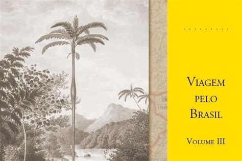 Livro Viagem Pelo Brasil