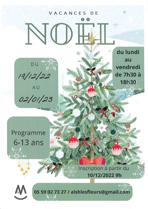 Programme Alsh Vacances De Noel Ans Mjc Des Fleurs Saragosse