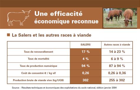 Chiffres Clés Groupe Salers Evolution