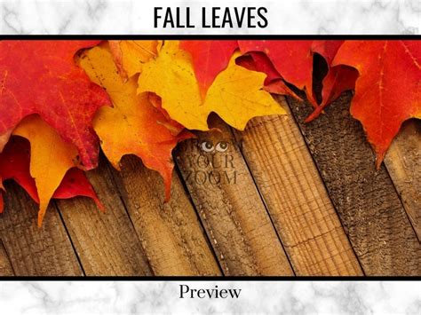 Fall Leaves Zoom Background 4 Virtual Backgrounds for Video - Etsy