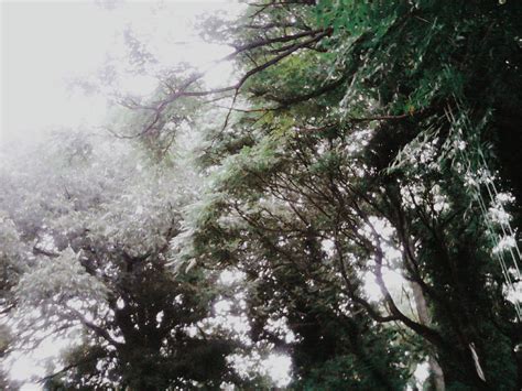 Natural Heritage Sites - Great Barrier Reef World Heritage Area