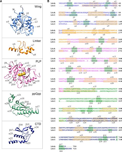 Figure From Structure Function And Evolution Of The Pseudomonas