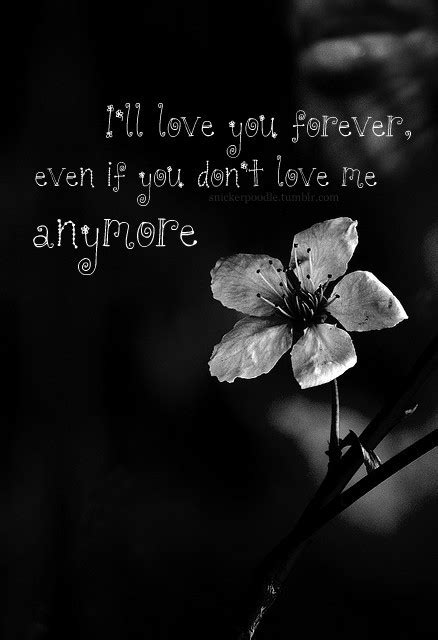 Ill Love You Forever Even If You Dont Love Me Anymore Unknown