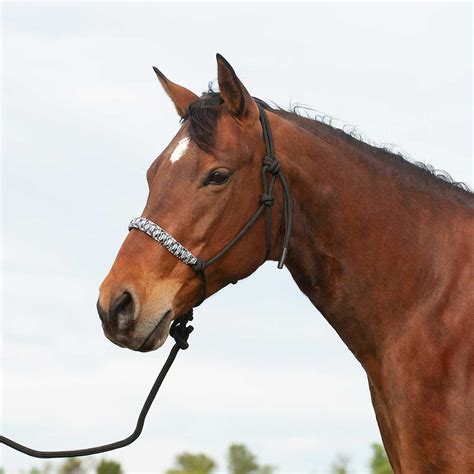 Braided Rope Halter With Lead Cashel Halters Halters Leads