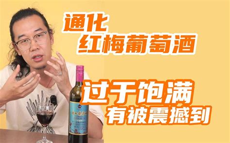 通化红梅葡萄酒 头一次做葡萄酒视频就给我整不会了 飞飞一杯酒 飞飞一杯酒 哔哩哔哩视频