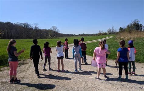 Stream Wetlands Supports Outdoor Education Program At Ua The