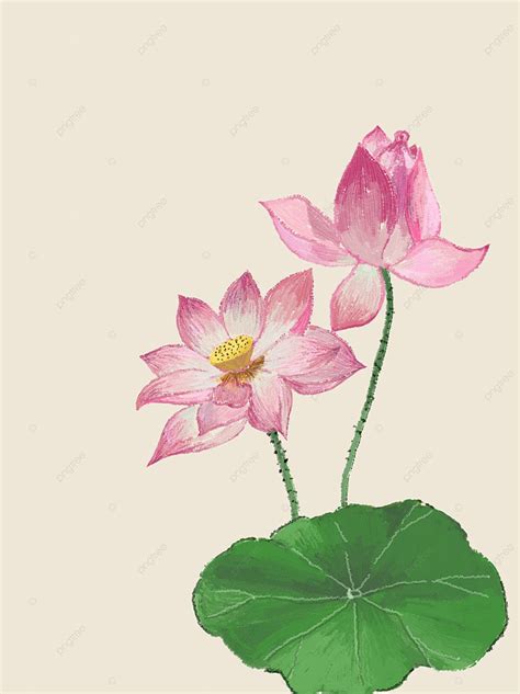 Chinese Painting Flowers Lotus Ink Background Wallpaper Image For Free ...