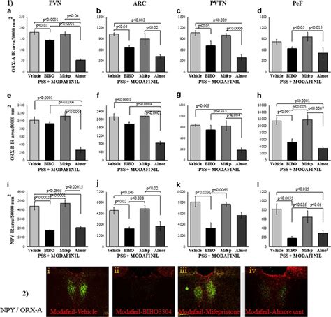 The Npy Y Receptor And The Orx Receptors Are Necessary For The