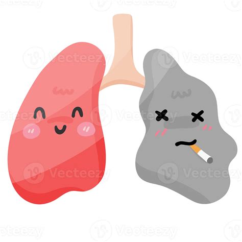 Smoking Effects on Lungs Anti-Smoking Awareness 58132387 PNG