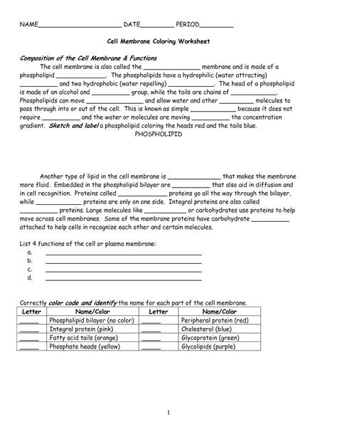 Cell Membrane Coloring Worksheet Answers — Db