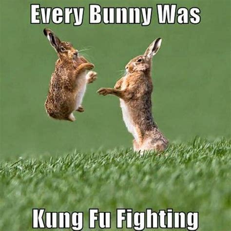 26 Bunny Memes That Are Way Too Cute For Your Screen