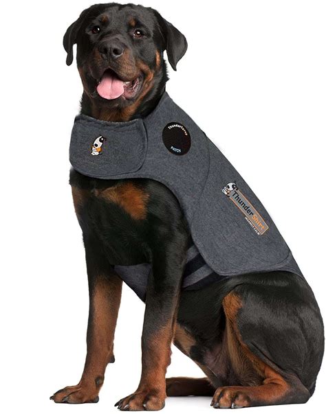 how to make a thundershirt for a dog