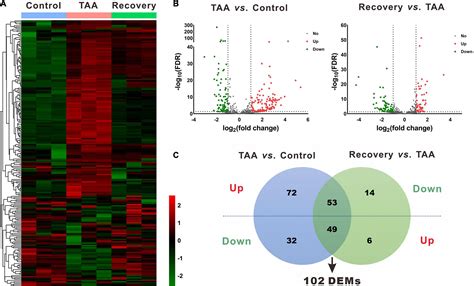 Frontiers Integrated Analysis Of Hepatic Mirna And Mrna Expression