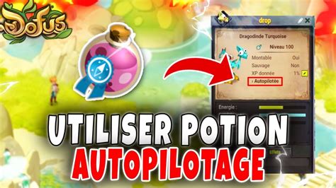 Comment UTILISER Une POTION AUTOPILOTAGE Sur DOFUS Monture Et