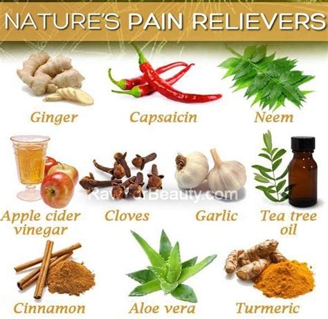 17 Best images about Natural pain relievers on Pinterest | Back strain, The natural and Sprained ...