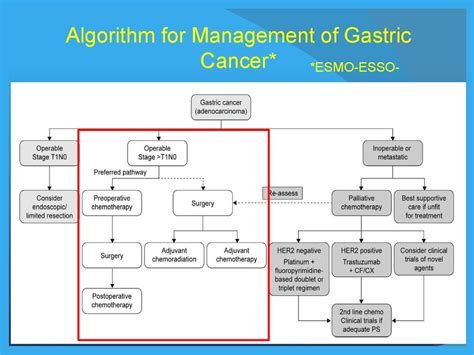 Treatment Choices By Type And Stage Of Stomach Cancer - CancerWalls