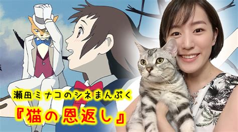 第73回：『猫の恩返し』（2002年）｜猫ちゃんとの優しい思い出の味「おさかなクッキー」！【瀬田ミナコのシネまんぷく】 Movie Marbie