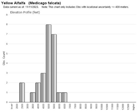 Yellow Alfalfa Montana Field Guide