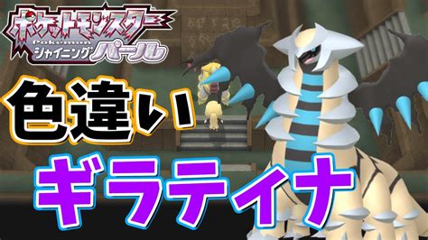 【ポケモンダイパリメイク】4500回～色違いギラティナ厳選【bdsp】 ポケモン関連情報のまとめ動画