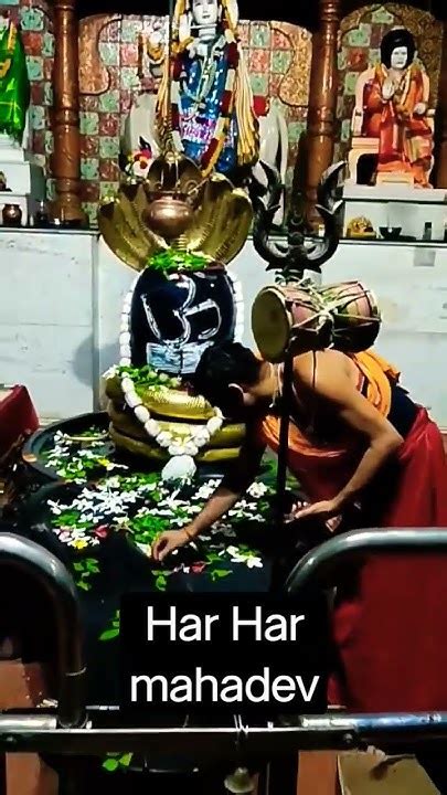 Om Namah Shivaya🌺🌺🌸💮☘️☘️ Youtube