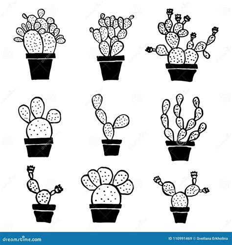 Insieme Delle Piante Da Appartamento Sveglie Del Cactus In Vasi Cactus