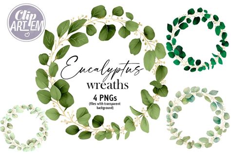 Eucalyptus Wreath 4png Watercolor Clip Art Wedding Image Set