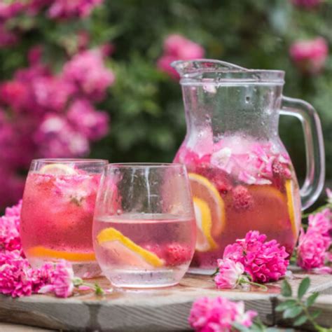 12 Best Baby Shower Mocktails To Make