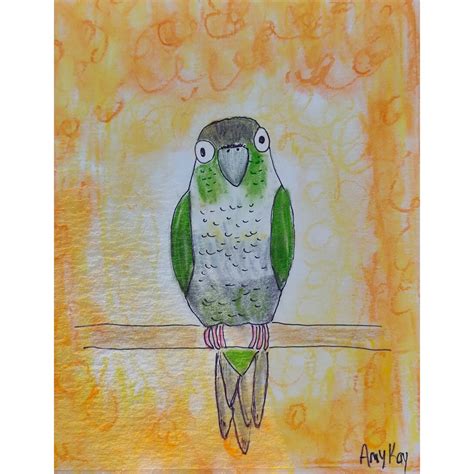 Green Cheek Conure 5x7 Art Print - Etsy