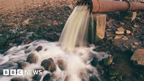 Severn Trent To Tackle Sewage Spills Ahead Of Target Bbc News