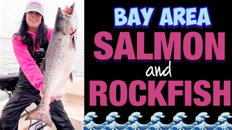 Stacy S Bay Area Salmon Opener Fishing For King Salmon And