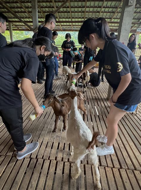 Bentong Happy Farm – Malaysia Camping